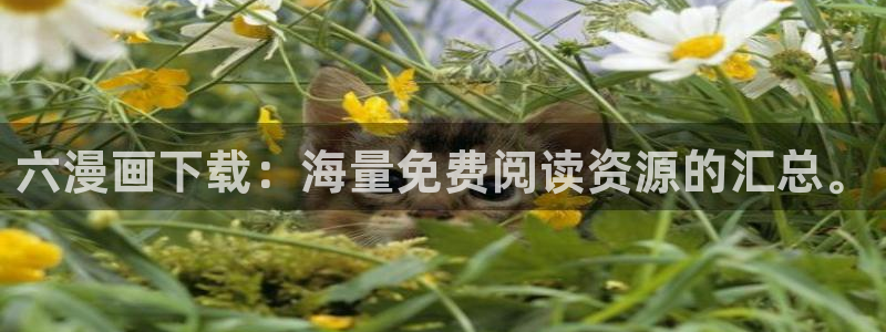 香蕉漫画下载软件：六漫画下载：海量免费阅读资源的汇总。